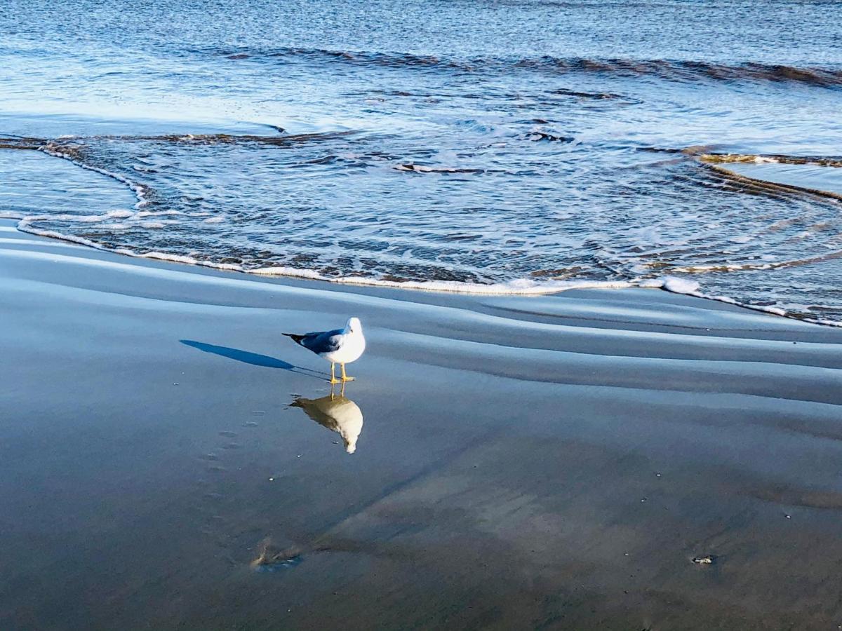 St. Simons Island Salty Breeze At Demere Landing Unit 168 - Salt Air Drヴィラ エクステリア 写真